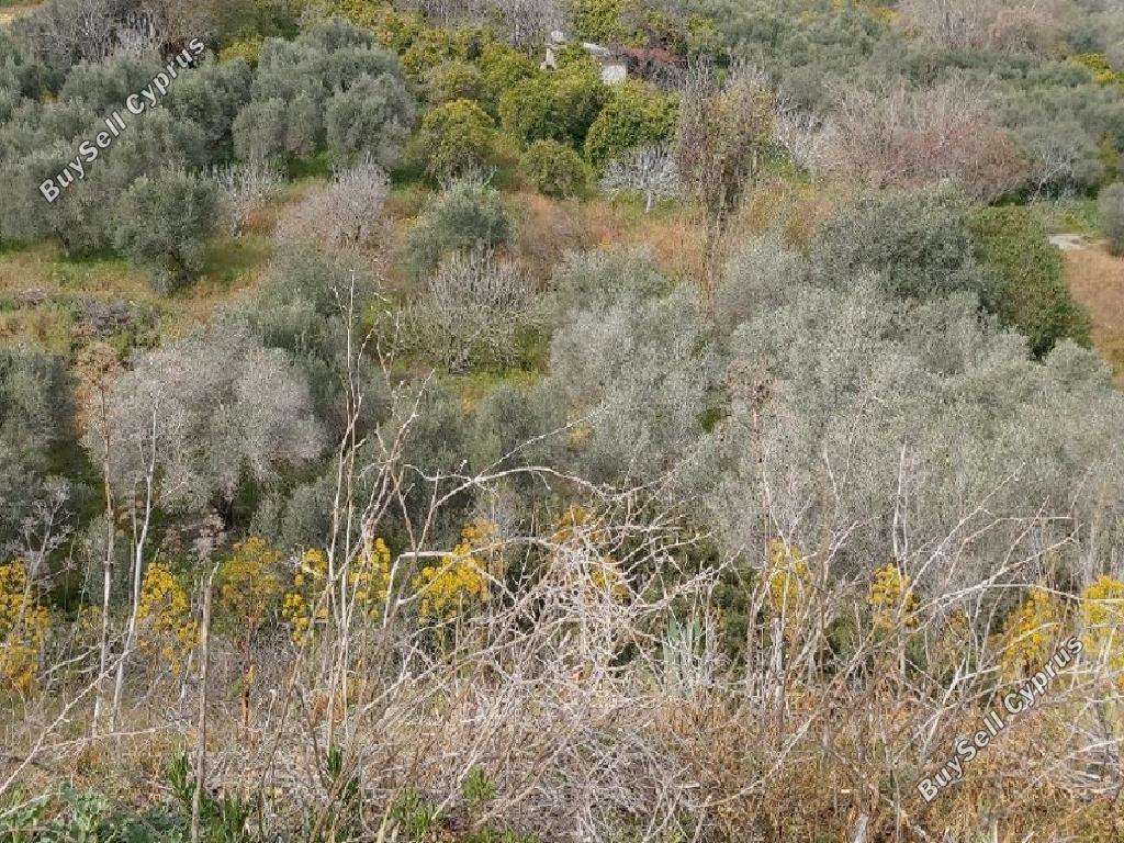 land for sale maroni larnaca 947957 image 853544