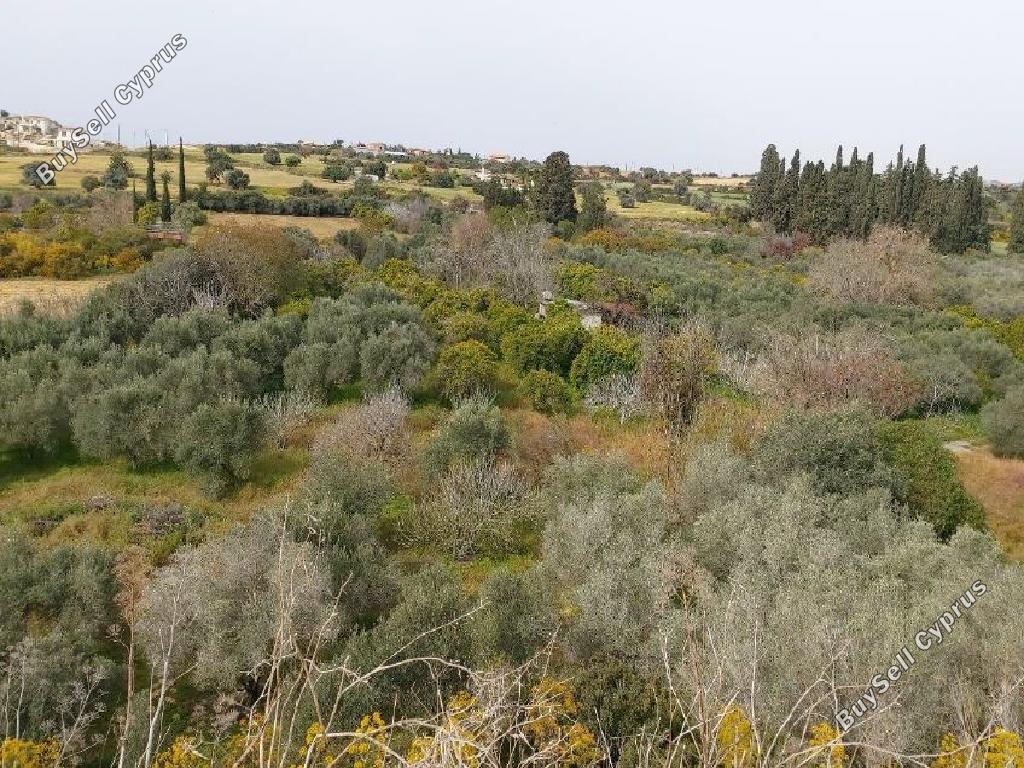 land for sale maroni larnaca 947957 image 853545