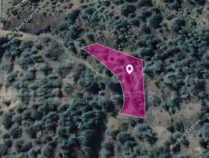 2007 SQM Land for sale in Kampos, Nicosia 11384017