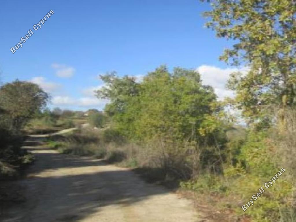 land for sale polemi paphos 8532167 image 16306302