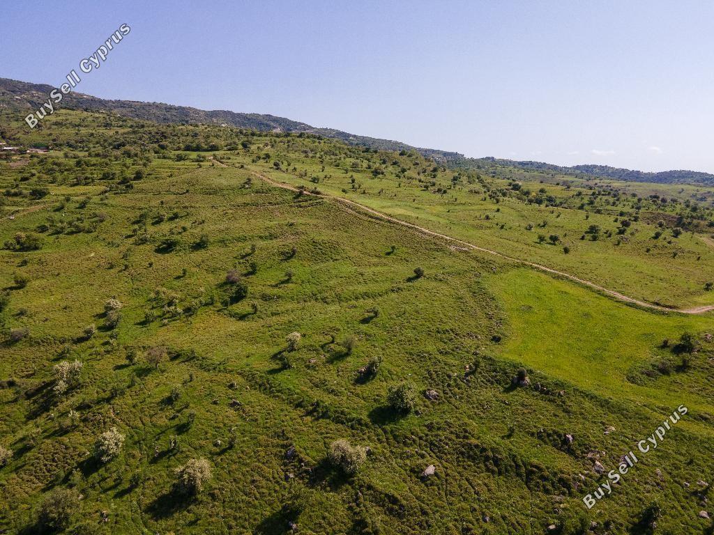 land off market kelokedara paphos 8630167 image 17011507