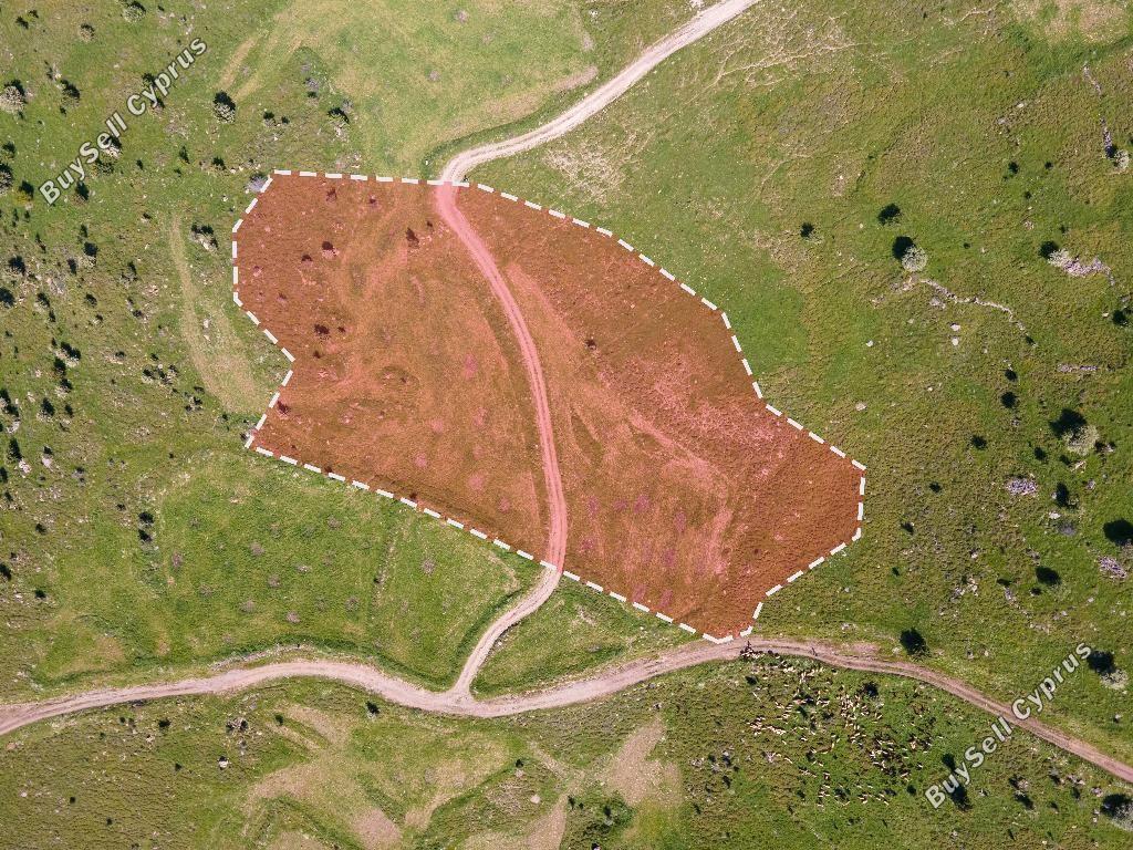 land off market kelokedara paphos 8630167 image 17011509