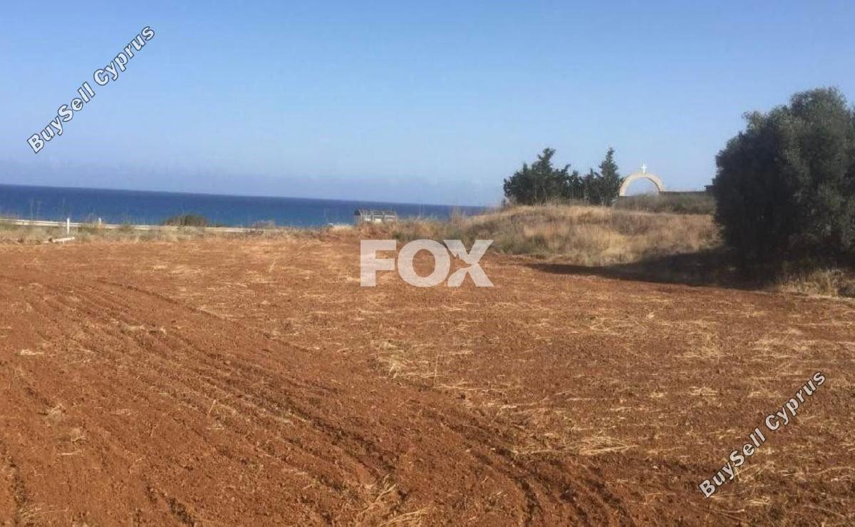land for sale nea dimmata paphos 1270267 image 10032727