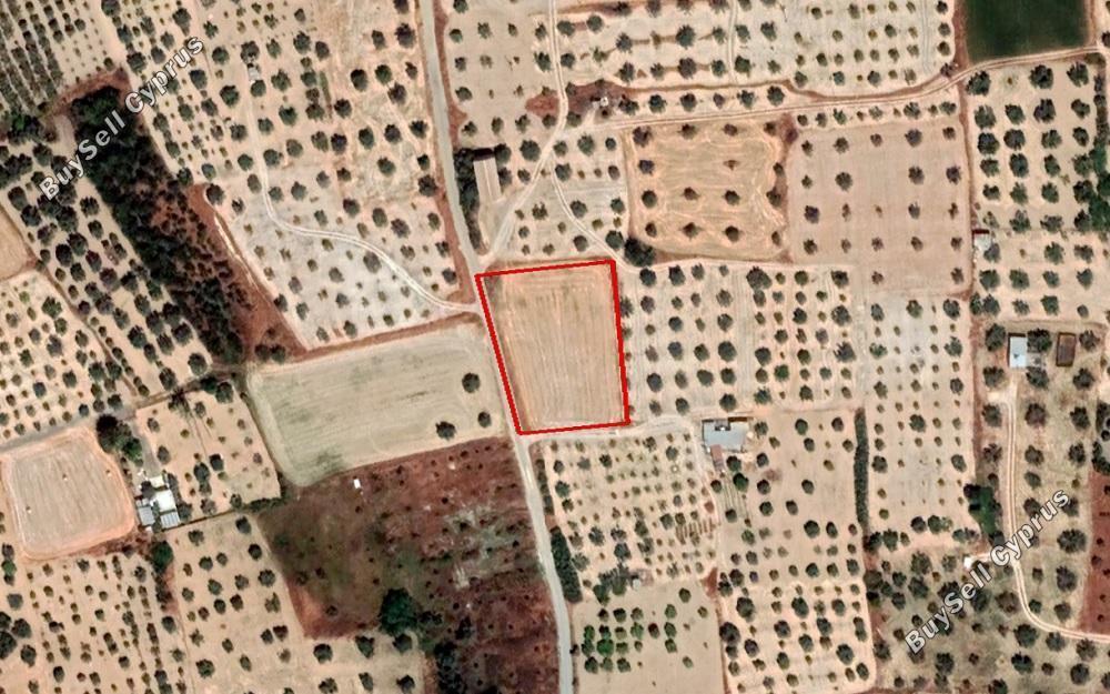 land for sale athienou larnaca 966367 image 13569641