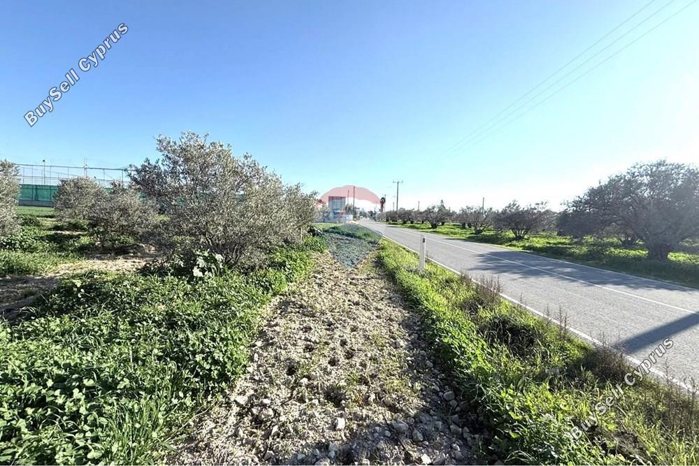 land for sale athienou larnaca 8322467 image 14707376