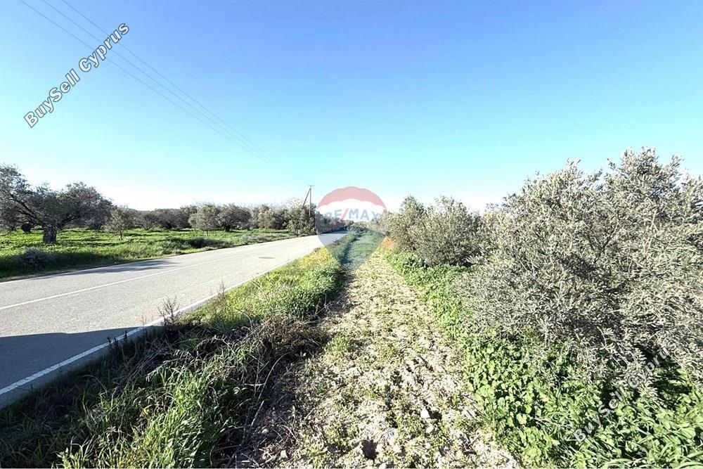 land for sale athienou larnaca 8322467 image 14911744