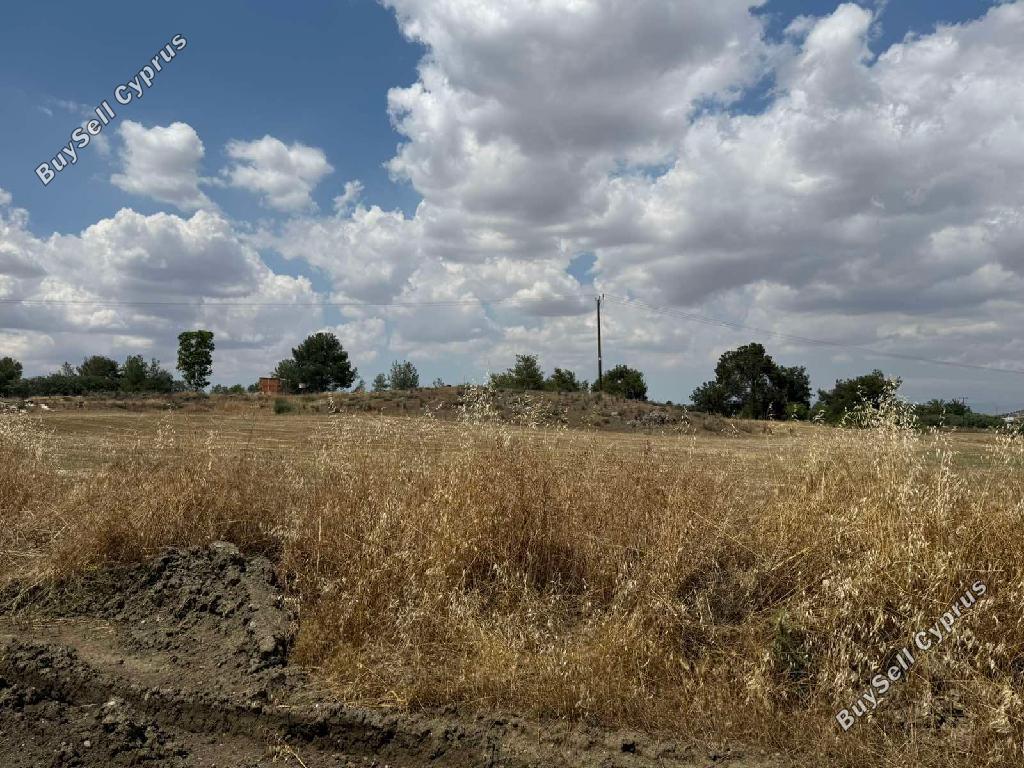 land for sale mathiatis nicosia 8700467 image 16225112