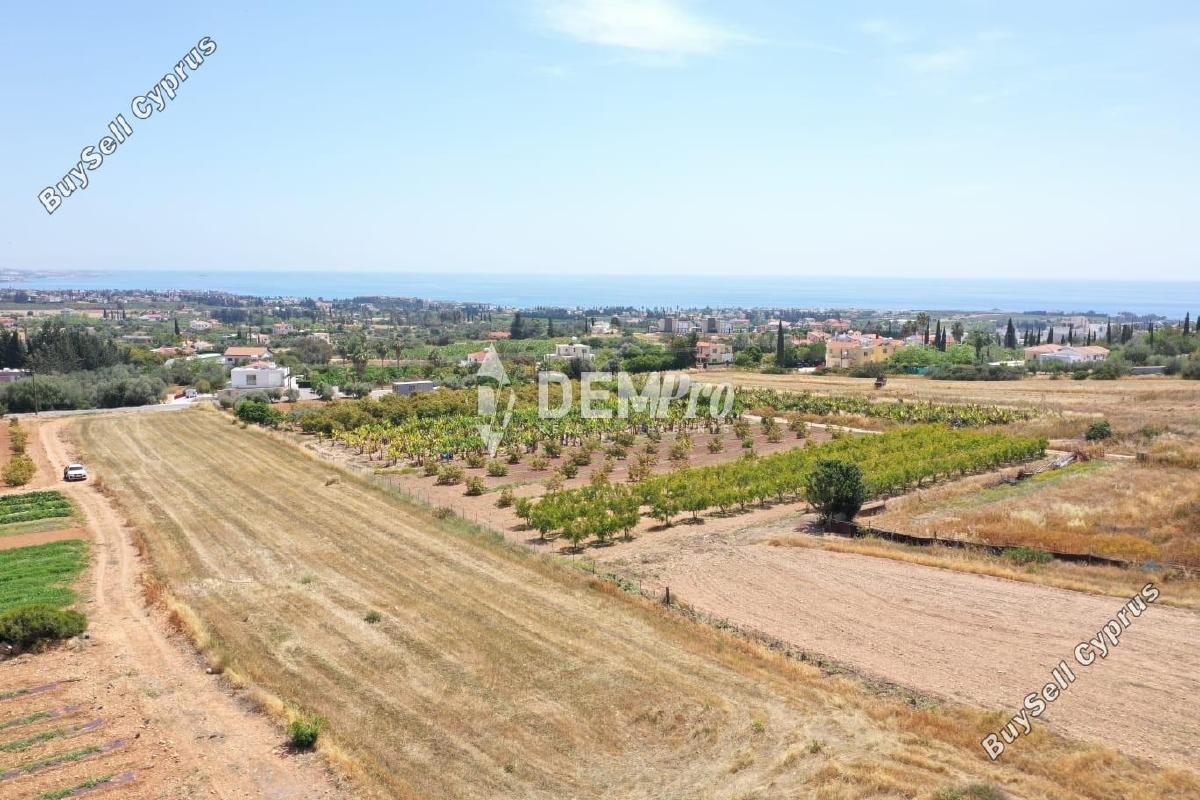 land for sale peyia paphos 7812467 image 10640091