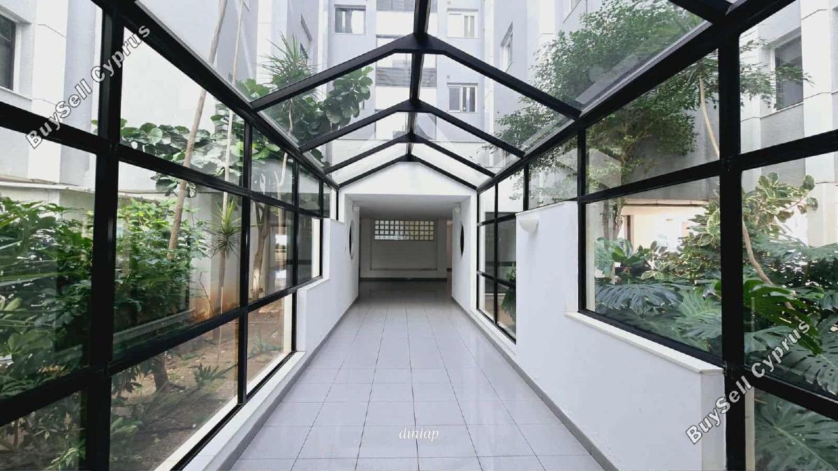 3 bedroom apartment for rent potamos germasogeias limassol 8344567 image 14388306