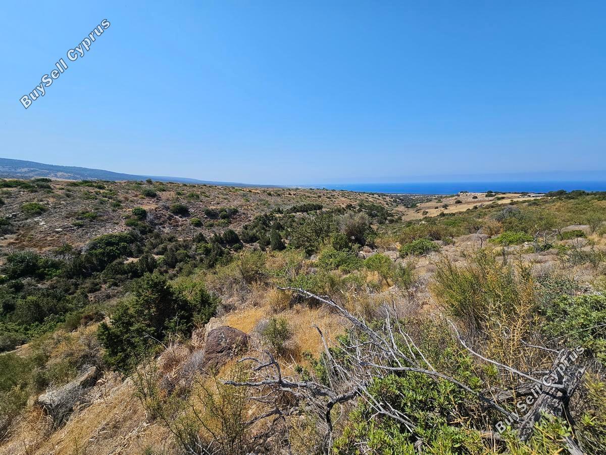 land for sale ineia paphos 1869567 image 6906665