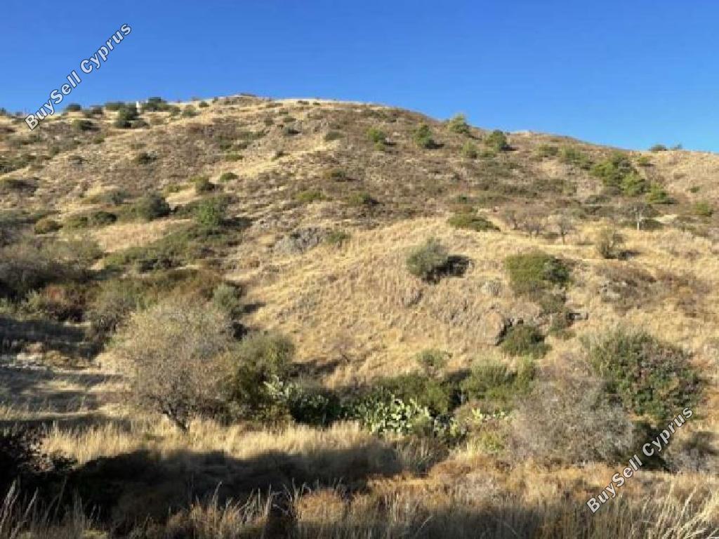 land for sale pigenia nicosia 1077567 image 2999139