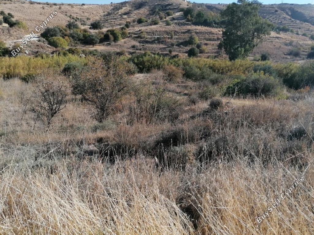 land for sale agrokipia nicosia 945667 image 15602178