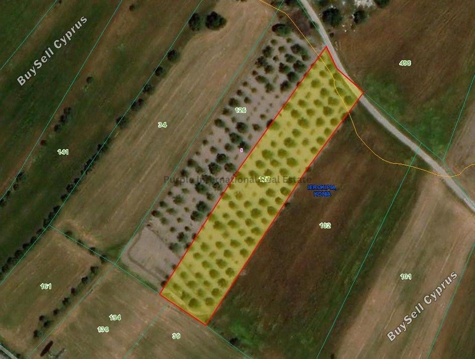 land for sale konia paphos 7545667 image 17674624