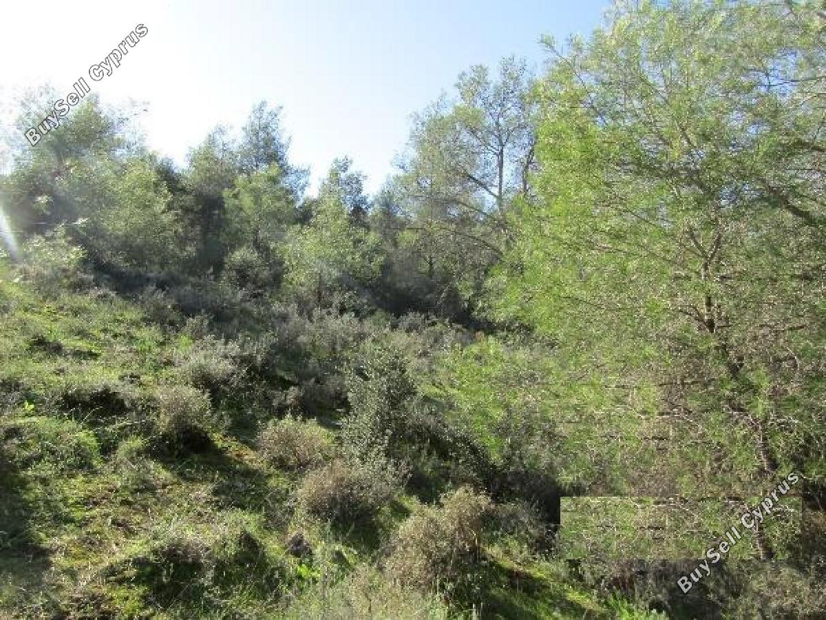 land for sale psevdas larnaca 8726667 image 16333268