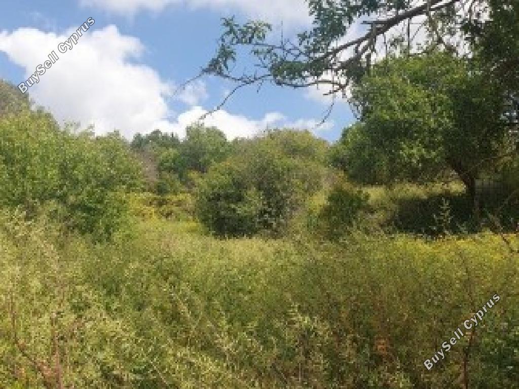 2054 SQM Land for sale in Drimou, Paphos 16305440