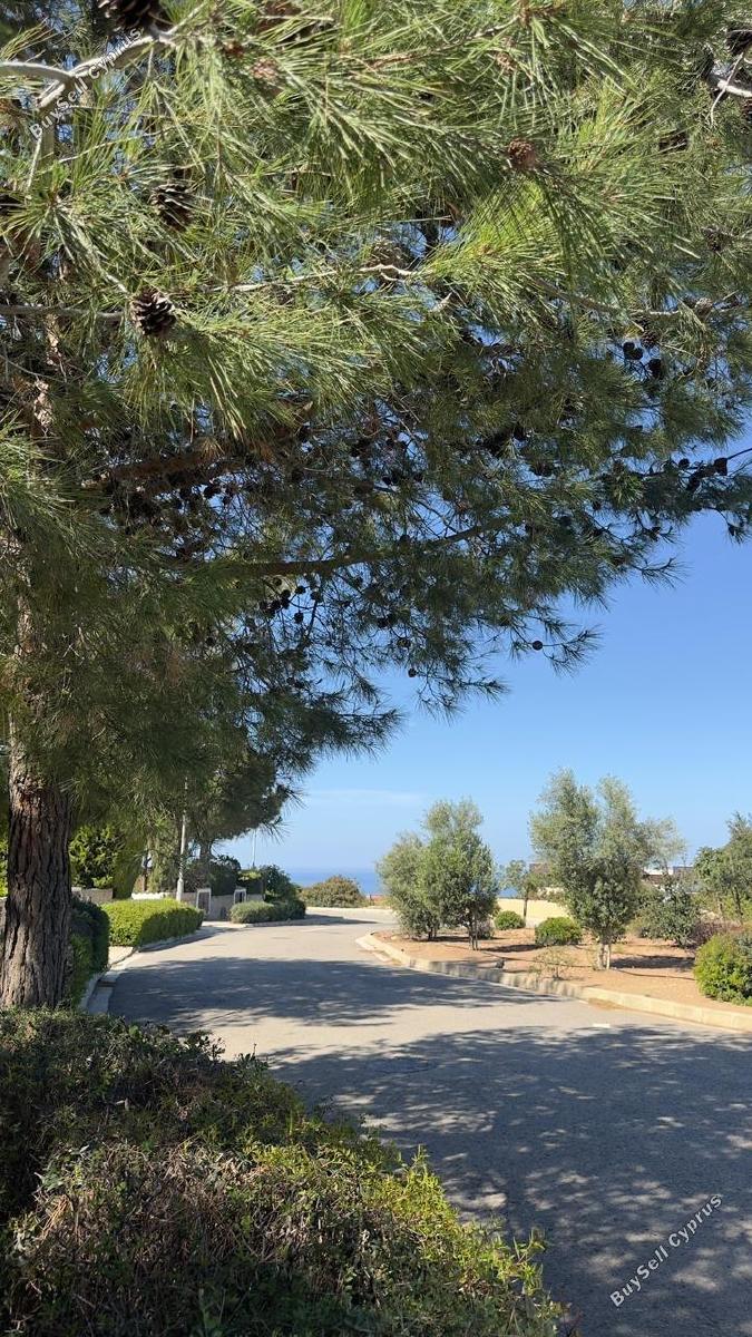4 bedroom detached house for rent aphrodite hills paphos 8611767 image 15877716
