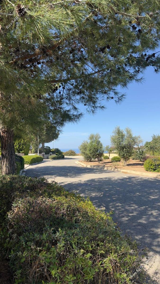 4 bedroom detached house for rent aphrodite hills paphos 8611767 image 15877717
