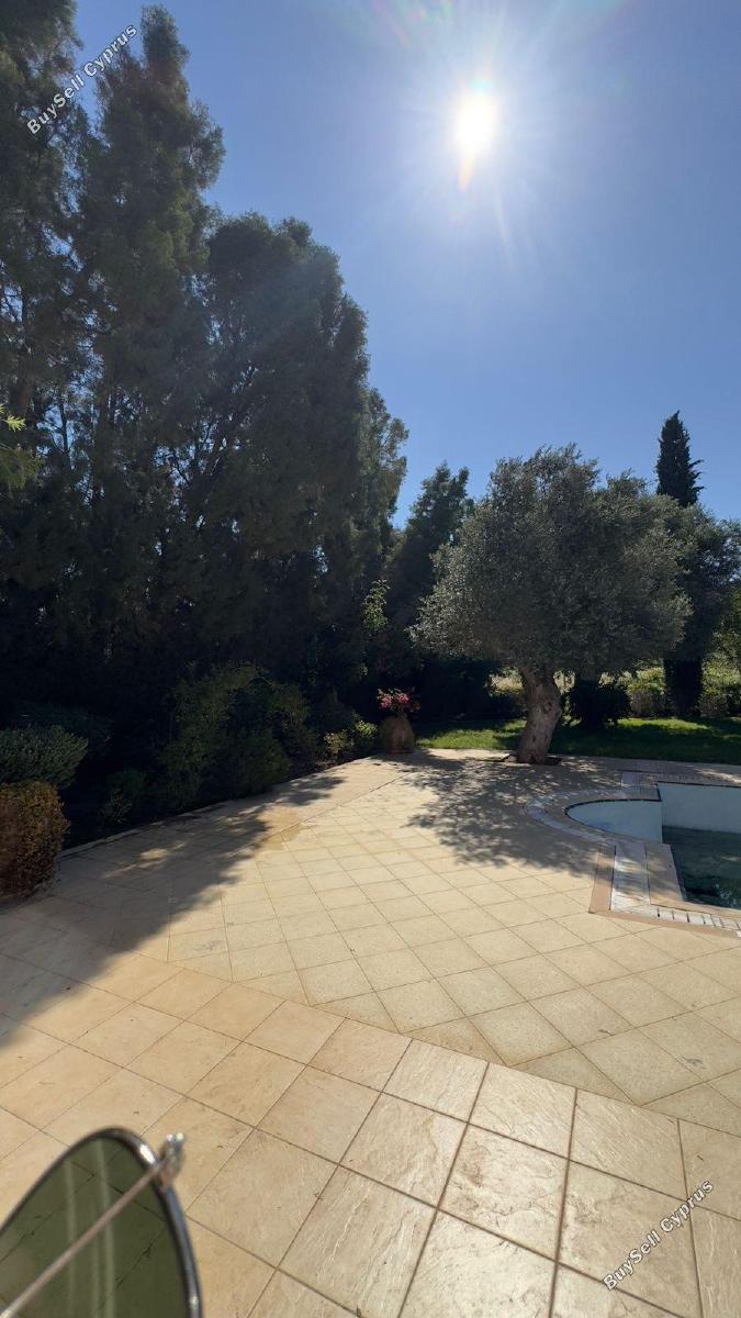 4 bedroom detached house for rent aphrodite hills paphos 8611767 image 15877719