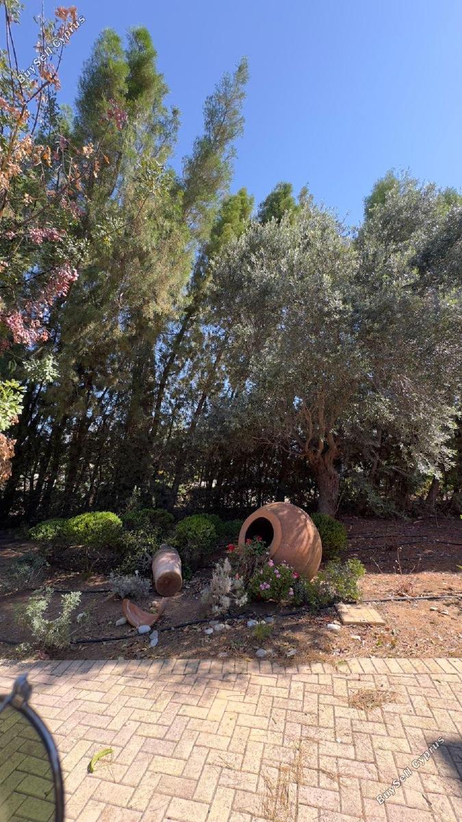 4 bedroom detached house for rent aphrodite hills paphos 8611767 image 15877722