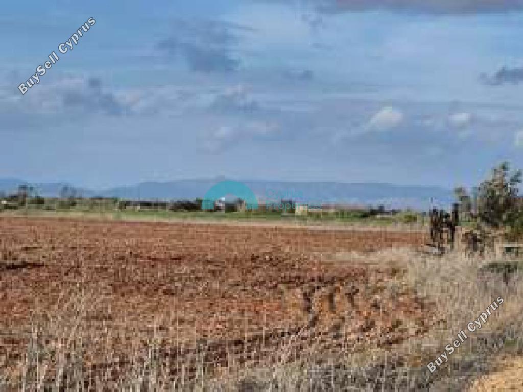 land for sale avgorou famagusta 7879767 image 16015836