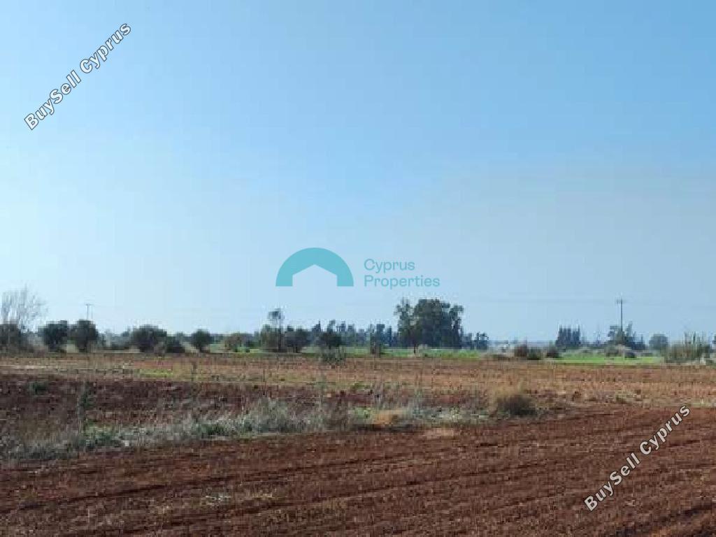 land for sale avgorou famagusta 7879767 image 16015838