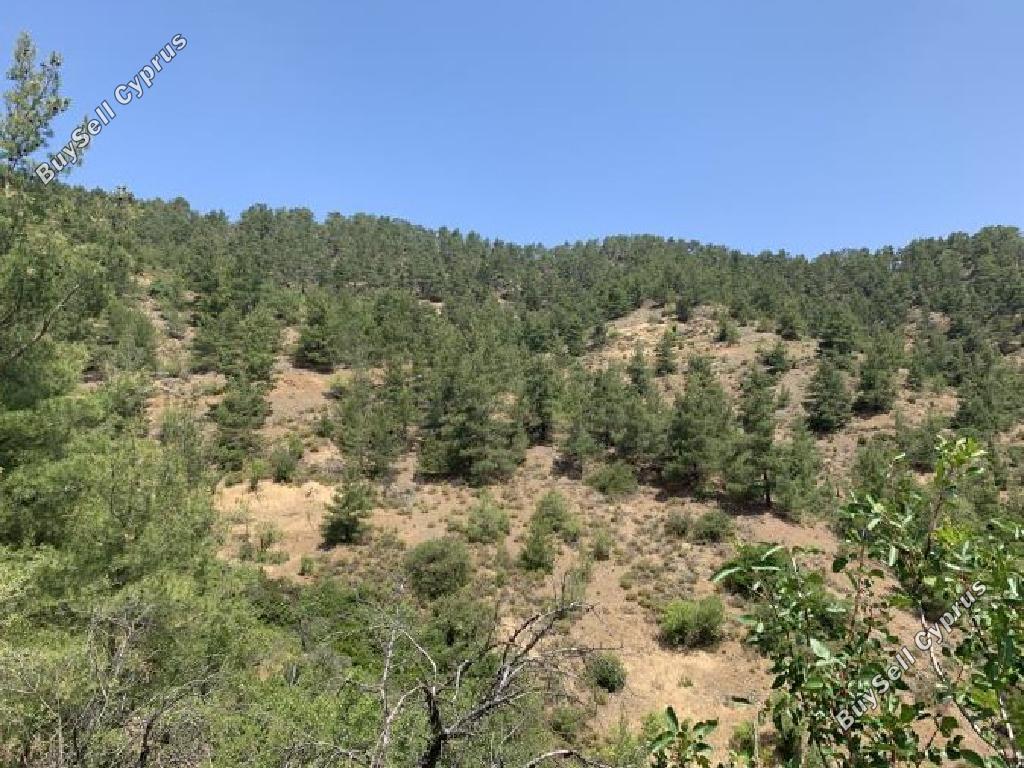 5120 SQM Land for sale in Platanistasa, Nicosia 15596266