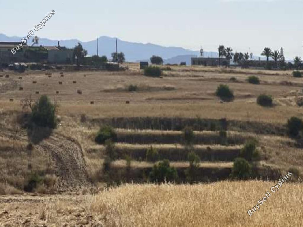 9365 SQM Land for sale in Vyzakia, Nicosia 15602628