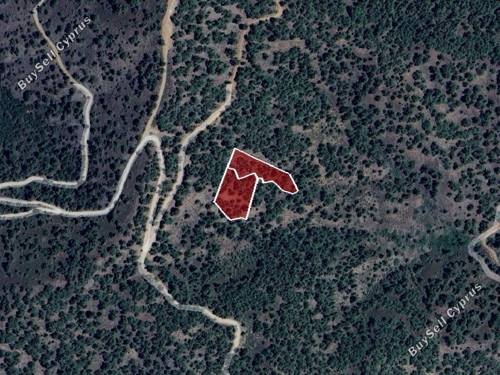 land for sale platanistasa nicosia 8003867 image 15596263