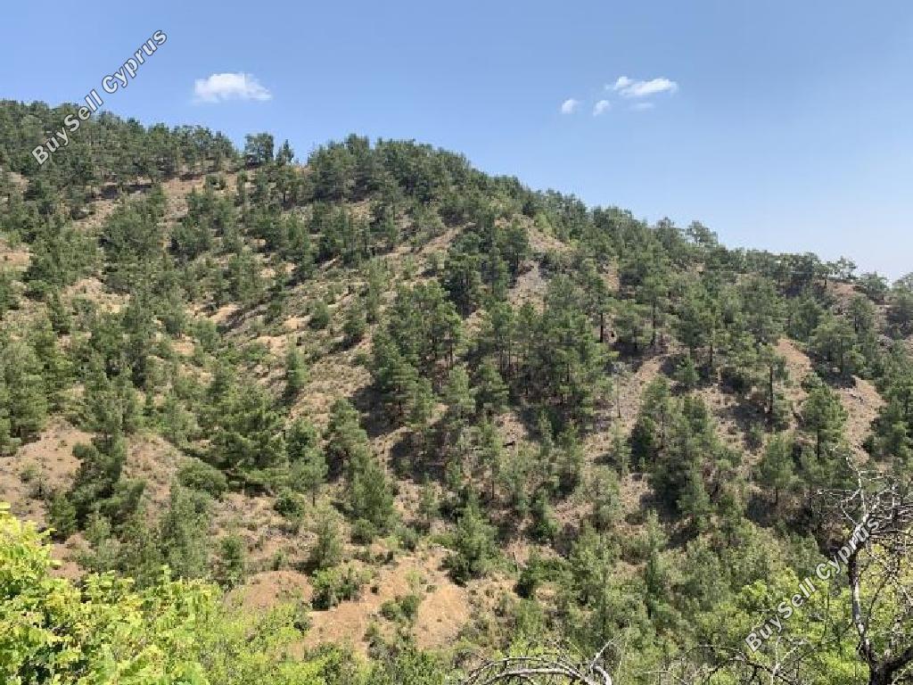 land for sale platanistasa nicosia 8003867 image 15596265