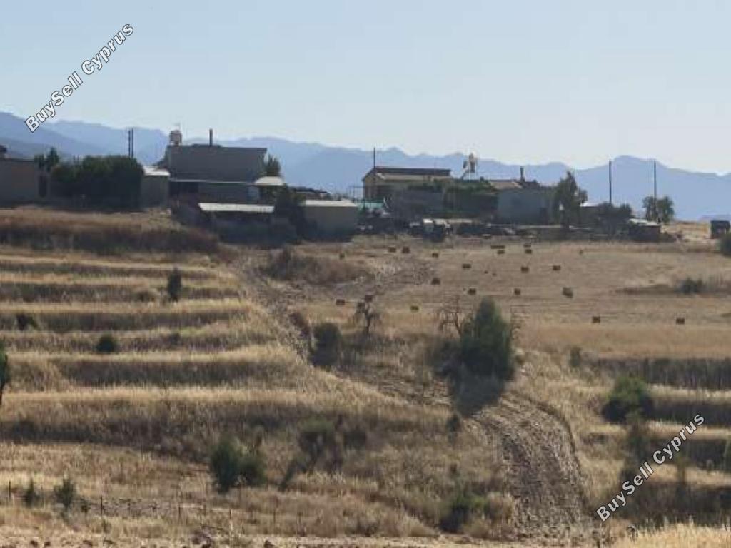 land for sale vyzakia nicosia 945867 image 15602627