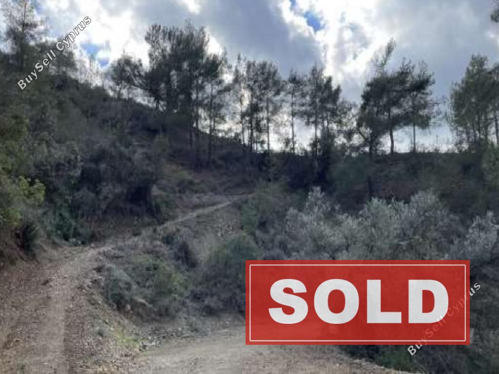 land sold vavatsinia larnaca 983867 image 919031