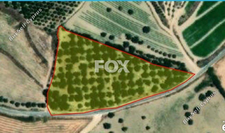 land for sale chrysochou paphos 1159967 image 5534627