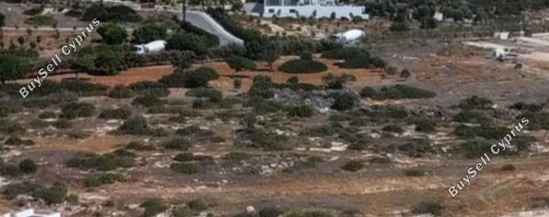 land for sale peyia paphos 1683967 image 4398912