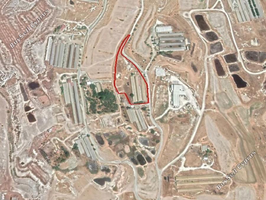 studio building for sale aradippou larnaca 7738967 image 15106817