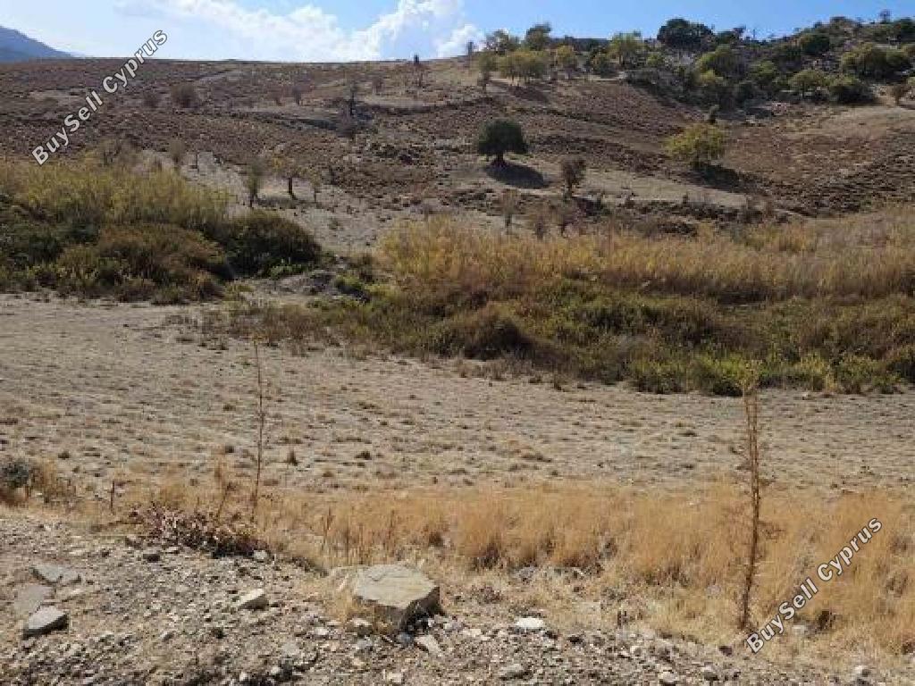 land for sale agios dimitrianos paphos 1733077 image 15597768