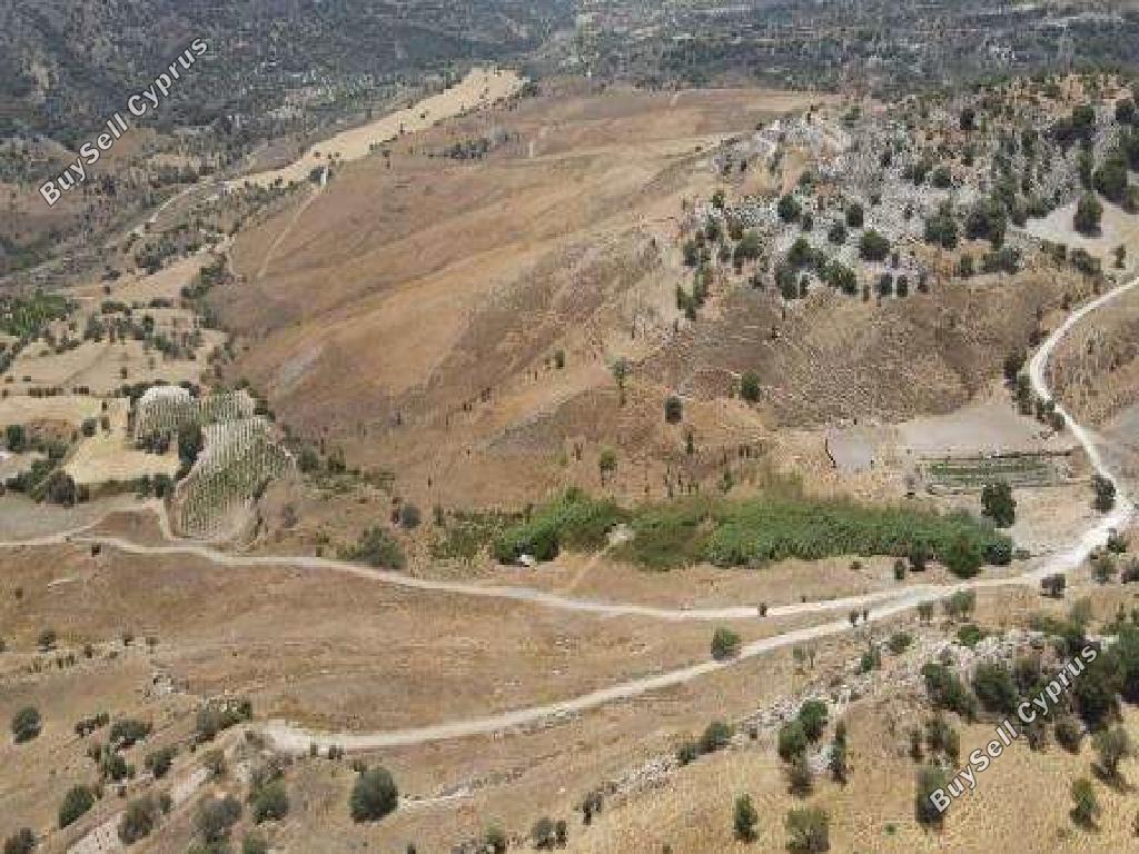 land for sale agios dimitrianos paphos 1733077 image 15597769