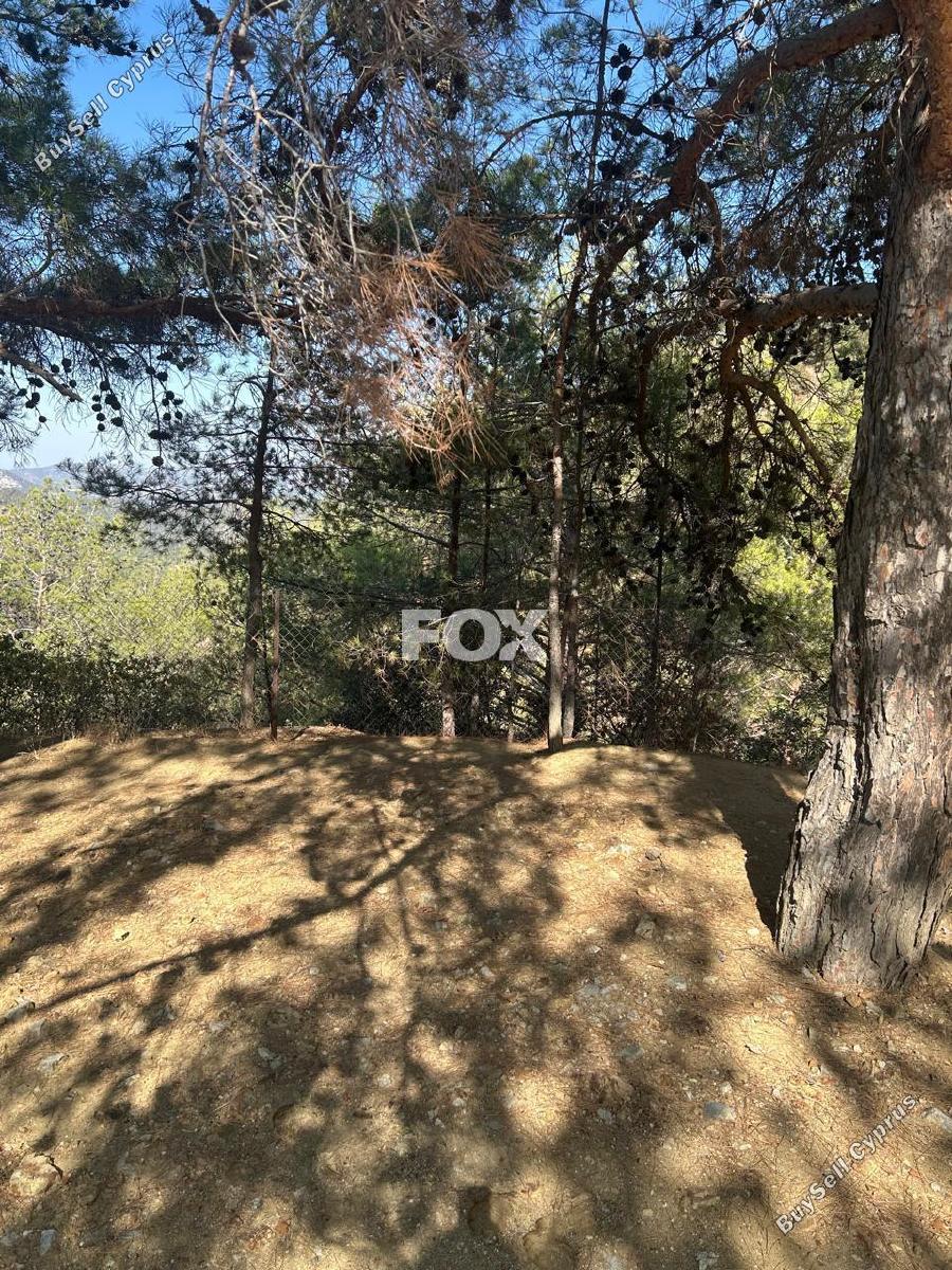 land for sale foini limassol 1910077 image 9653233