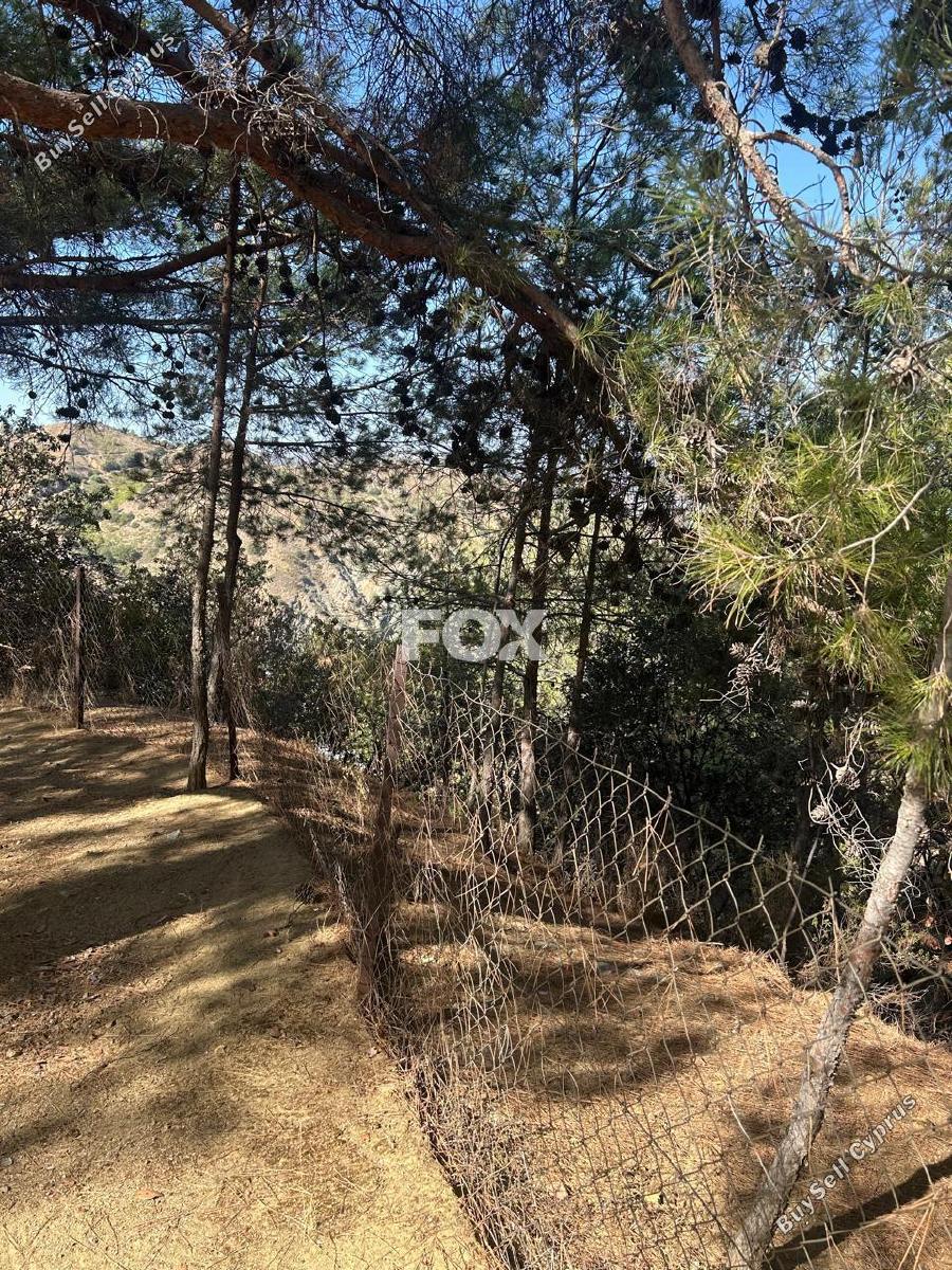 land for sale foini limassol 1910077 image 9653234