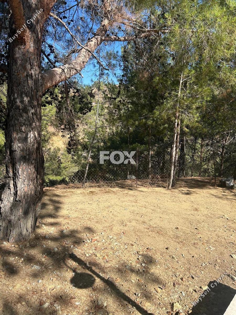 land for sale foini limassol 1910077 image 9653242