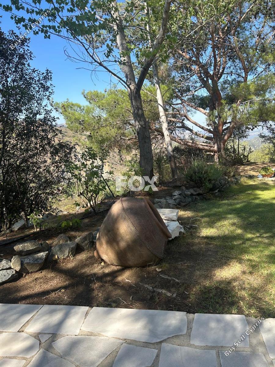 land for sale foini limassol 1910077 image 9653245