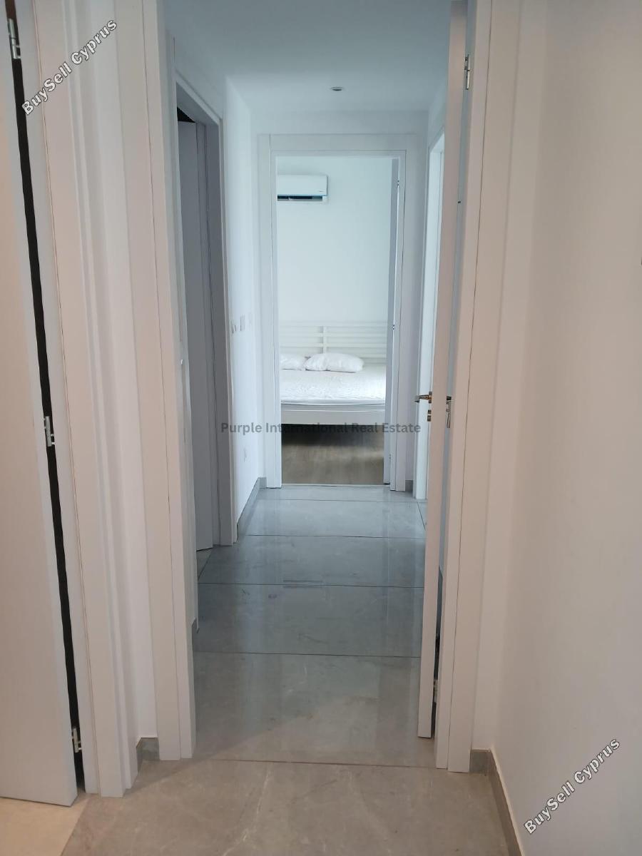 2 bedroom apartment for rent agios spyridonas limassol 8705177 image 16245259