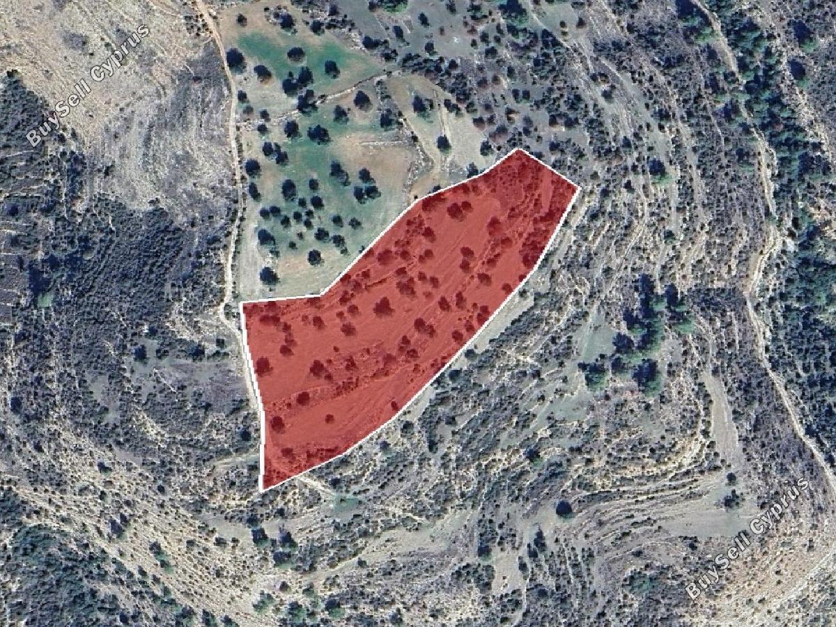land for sale pachna limassol 8716177 image 16294787