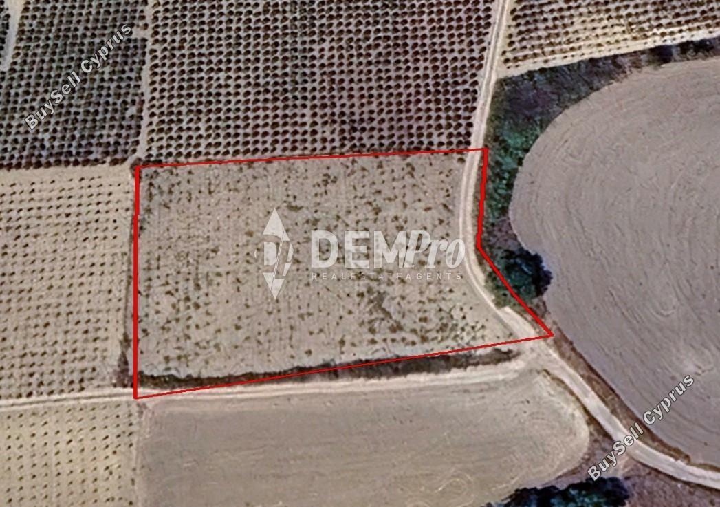 land for sale polemi paphos 7812177 image 12688131