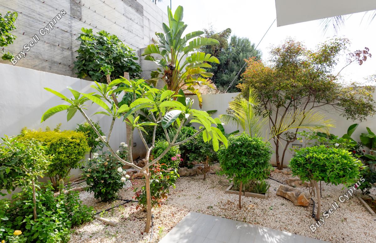 4 bedroom detached house for rent palodeia limassol 8857277 image 17216360