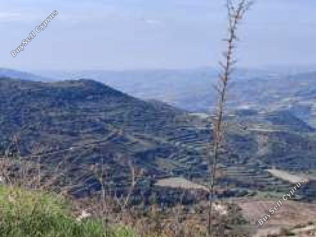 land for sale dora limassol 1336277 image 15598705