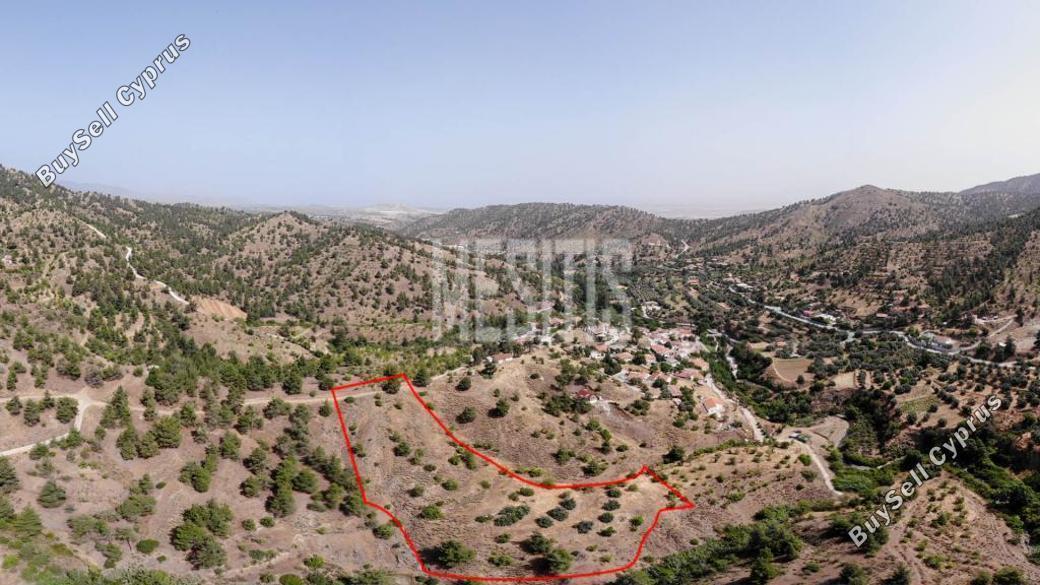 plot for sale agios theodoros soleas nicosia 975277 image 10477040