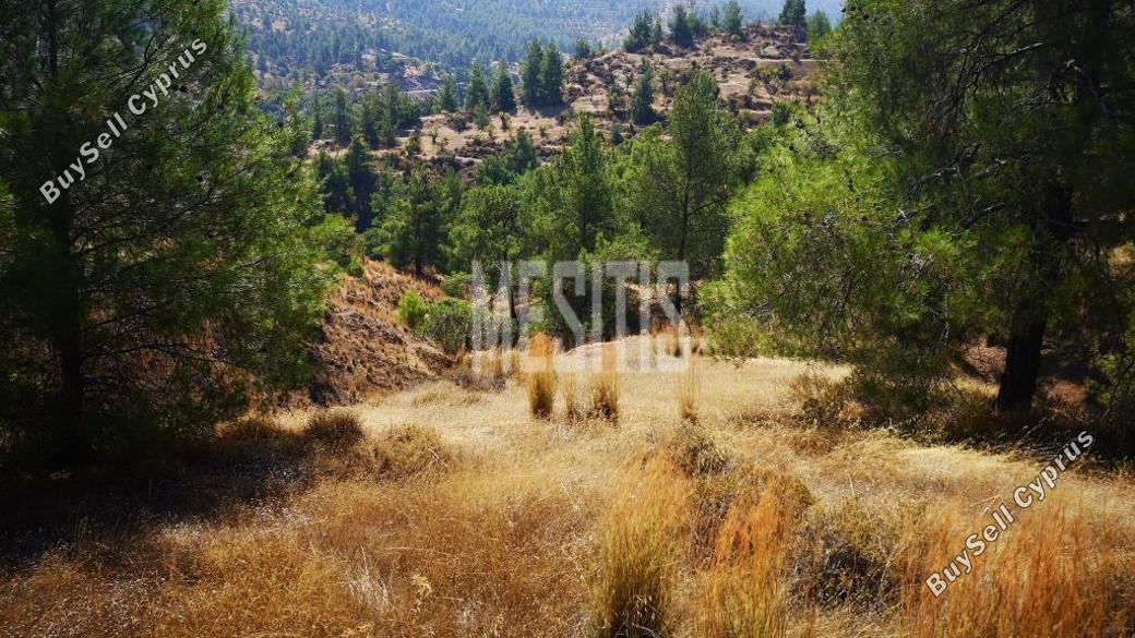 plot for sale agios theodoros soleas nicosia 975277 image 11041978
