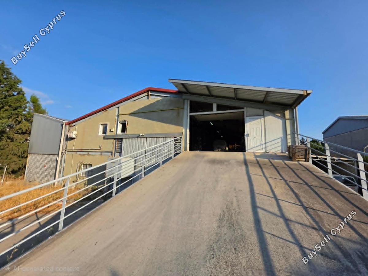 studio commercial building for rent aradippou larnaca 8827277 image 16974904