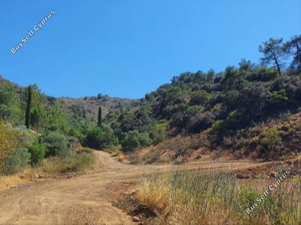 land for sale kalo chorio lemesou limassol 1336377 image 15600350