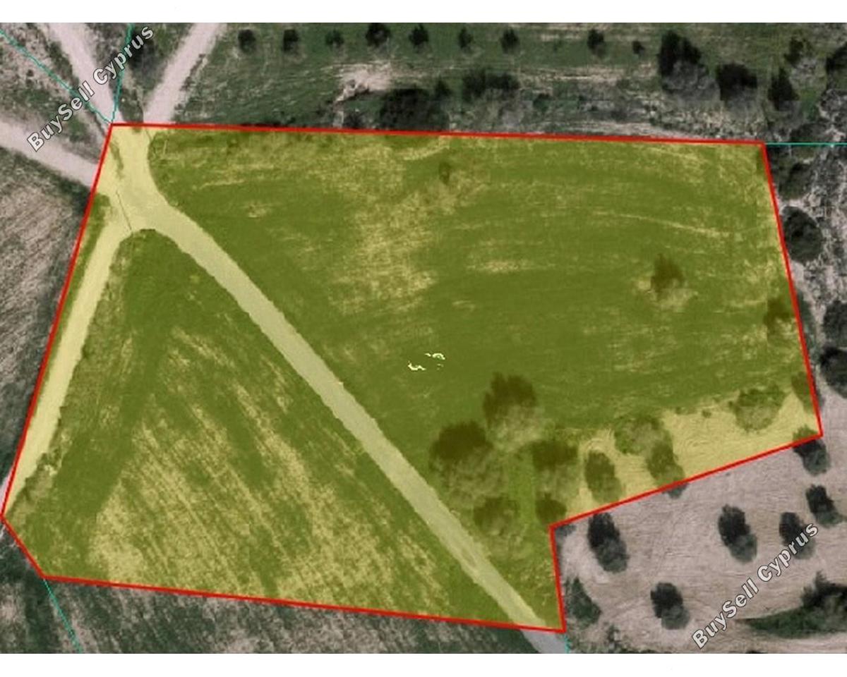 land for sale mazotos larnaca 1685377 image 6007820